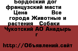 Бордоский дог ( французский масти)  › Цена ­ 50 000 - Все города Животные и растения » Собаки   . Чукотский АО,Анадырь г.